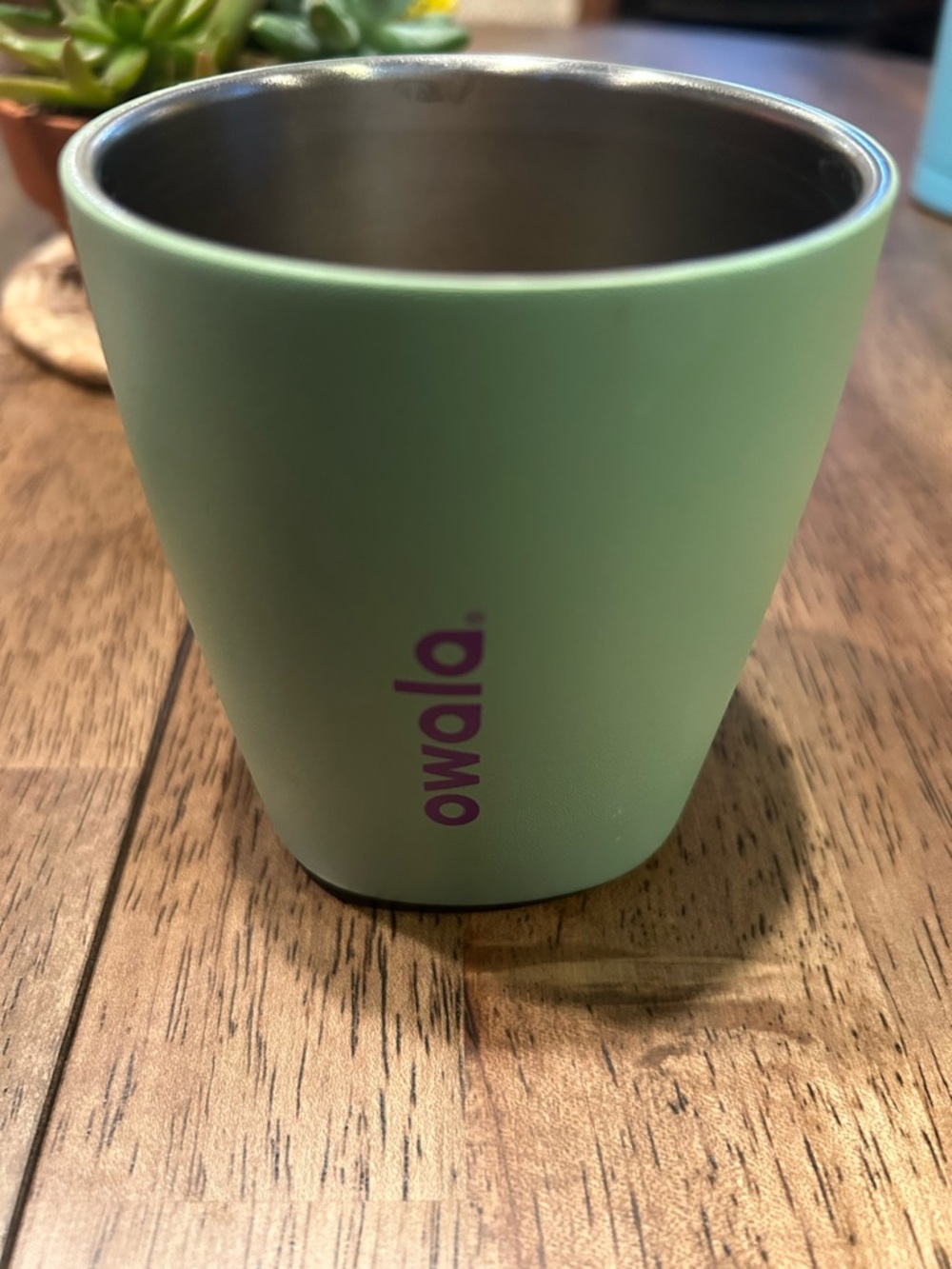 Owola Sage Green Stainless Steel Insulated Cup